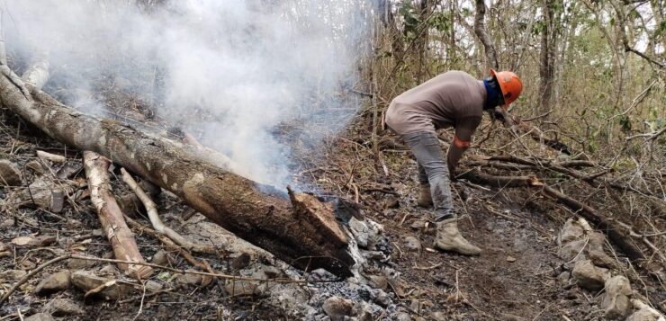 Sofocan 80 por ciento incendio en el Mactumatzá