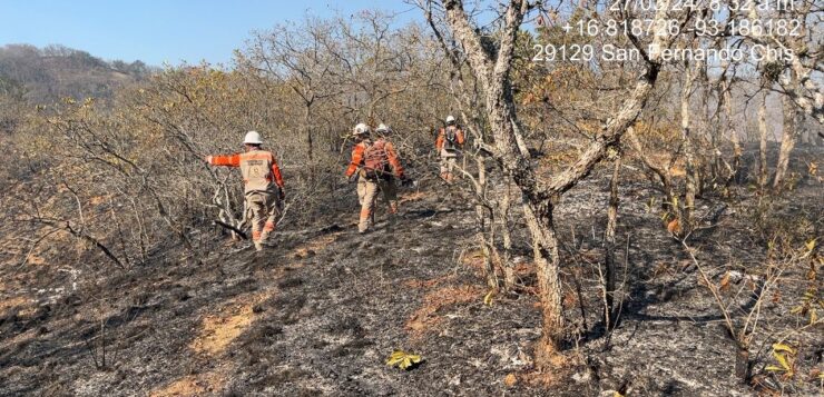 Más de 800 combatientes luchan contra incendios forestales