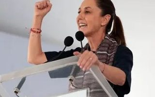 Gobierno bonsái