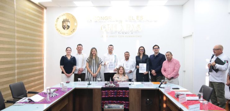 Secretario de Seguridad del Pueblo comparece ante Congreso del Estado