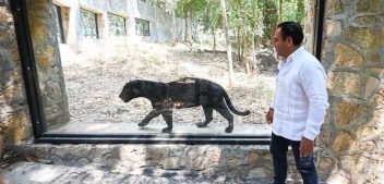 ERA impulsa nueva etapa del ZOOMAT en Tuxtla